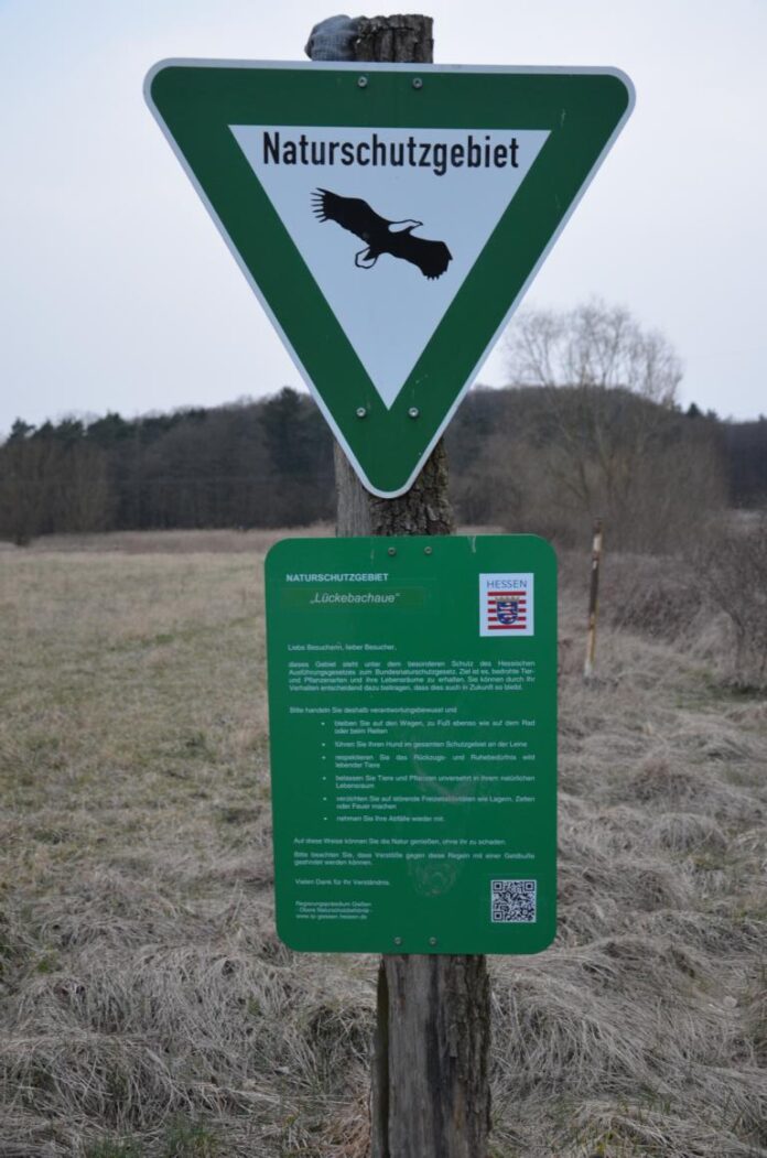 K1024 DSC 0631 696x1051